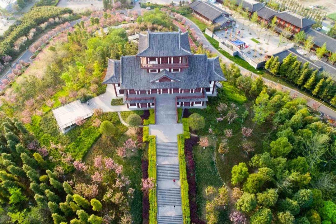 青白江自贸区最新动态,自然美景的探索之旅