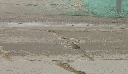 平顶山稻香路最新动态概览