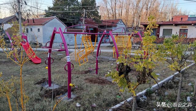 新泰市禹村杀人案背后,小巷独特小店与犯罪者的故事揭秘