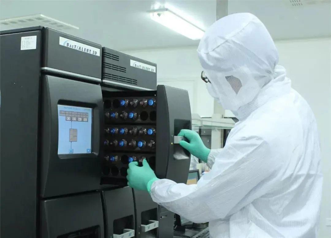 四环医药股票最新动态解析，如何获取并分析股票信息全攻略