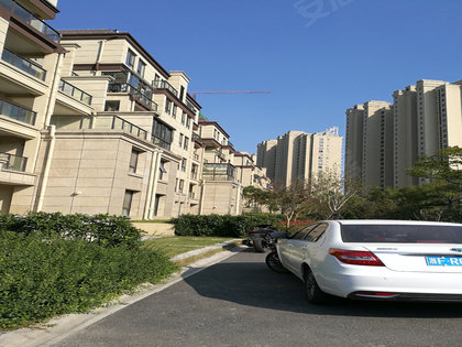 张浦碧悦湾最新动态,自然美景探索之旅,寻找内心平和与宁静