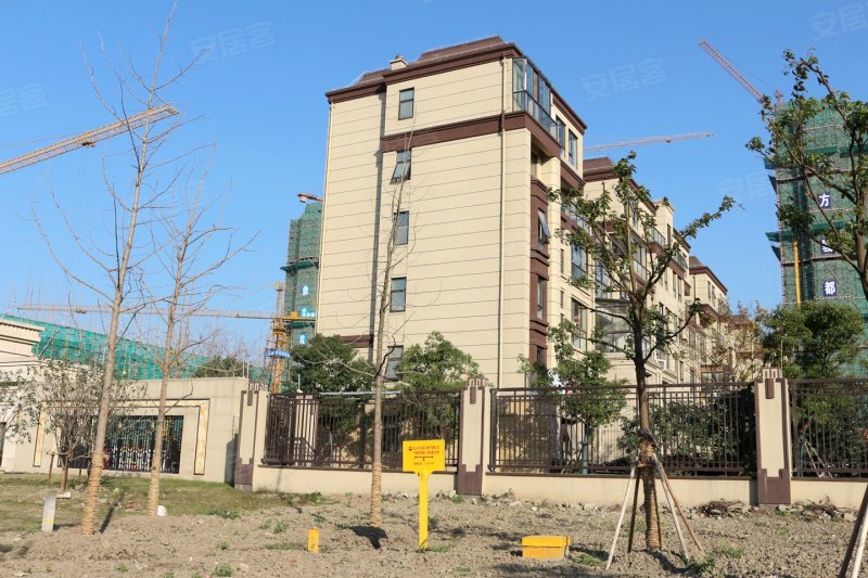 张浦碧悦湾最新动态,自然美景探索之旅,寻找内心平和与宁静