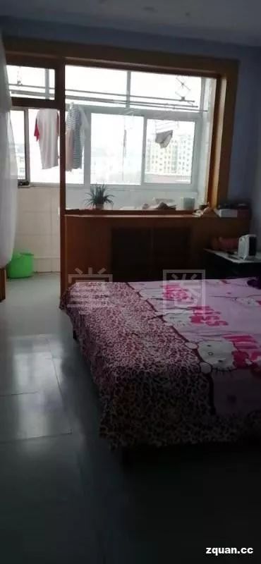 宣化二手平房最新动态，小巷深处的隐藏宝藏揭秘