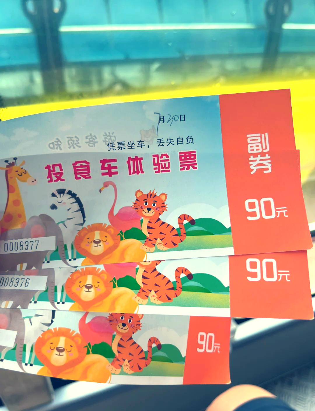 秦岭动物园最新门票价格，探索自然美景，启程内心平静之旅