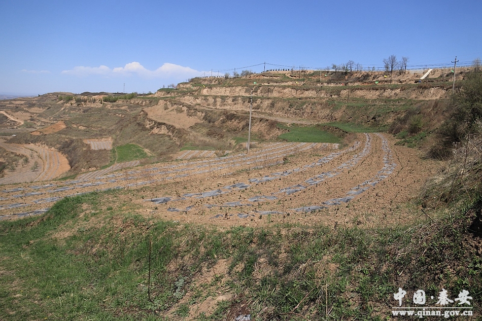 秦安县莲花镇最新动态与探索体验指南