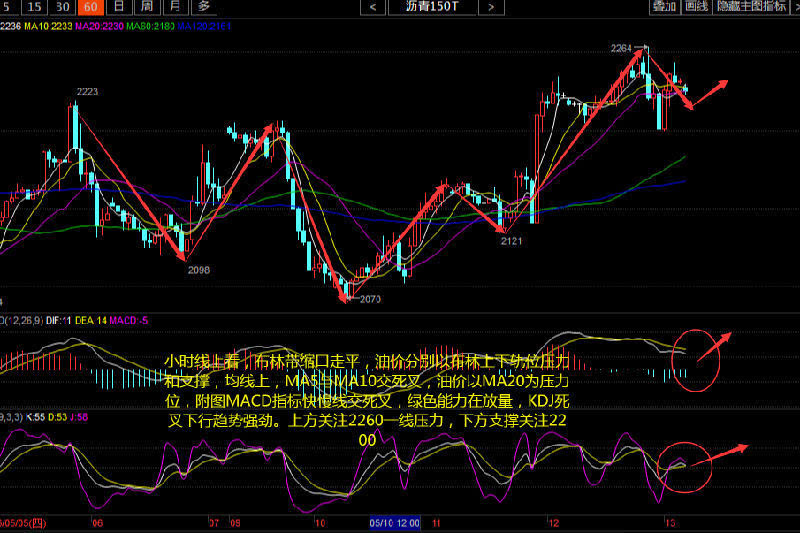今日石油价格动态与小巷深处的独特风味探索之旅