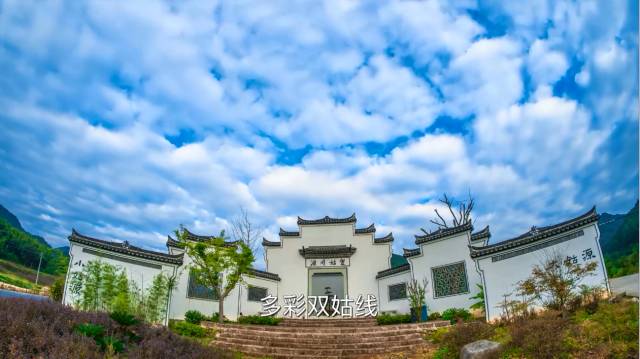 6996网站找回旧址,实地应用实践解读_XGU83.462乐享版