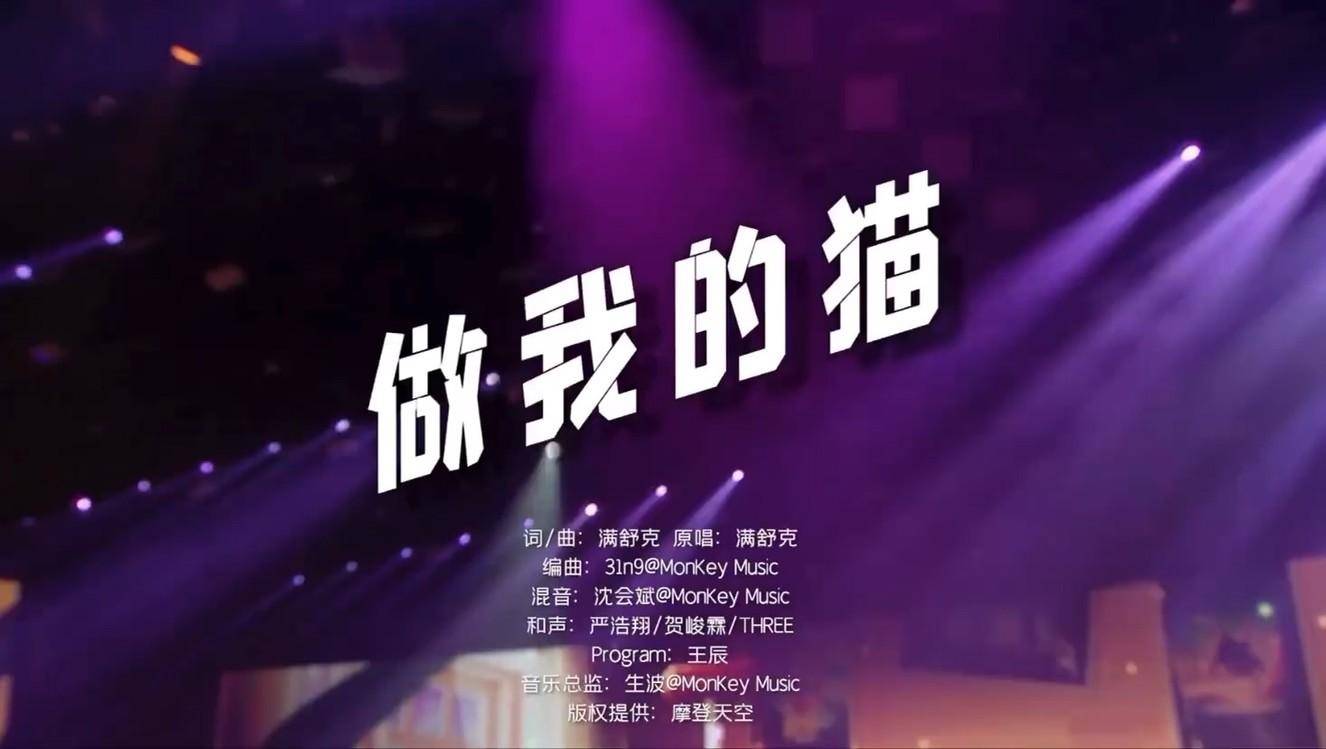 猫咪MV最新永久地域网名揭秘,体验科技魅力时刻的独家探索