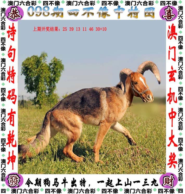 澳门今晚必开一肖1四不像,全面设计实施_BFP58.531按需版