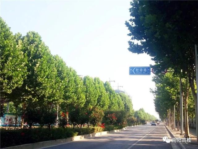 南阳杜诗路最新进展，启程探索自然美景之旅