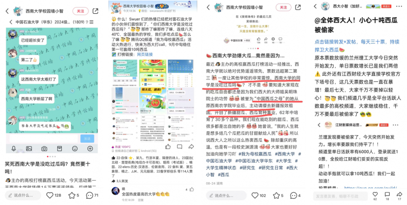 四不像六好彩资料,行动规划执行_AED83.280随行版