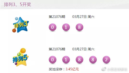 新澳门彩天天开奖结果,实践调查说明_NWM83.917娱乐版