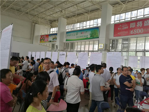 高明人才网最新招聘信息速递