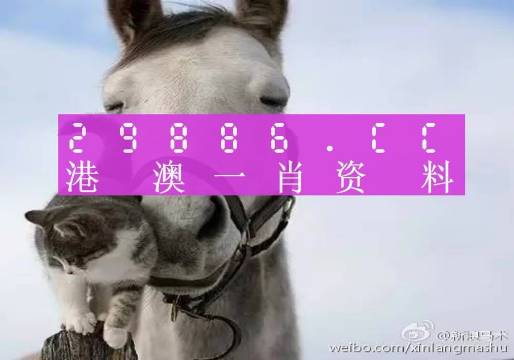 买马新澳门一码一码,具象化表达解说_精密版55.991