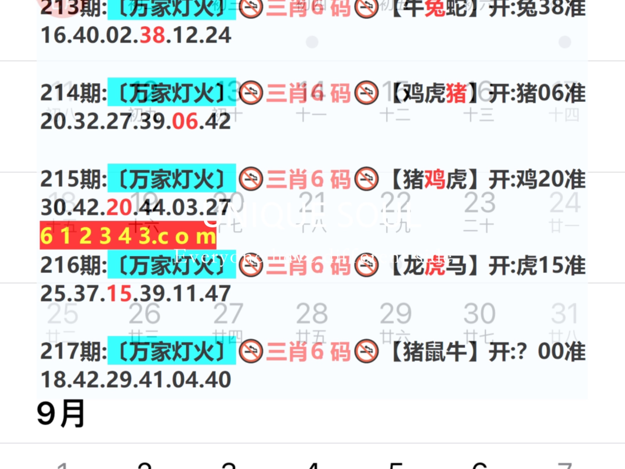 澳门王中王开奖结果一下子,推动策略优化_强劲版32.429