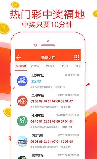 王中王一码一肖一特一中2024年,决策支持方案_创造力版59.620