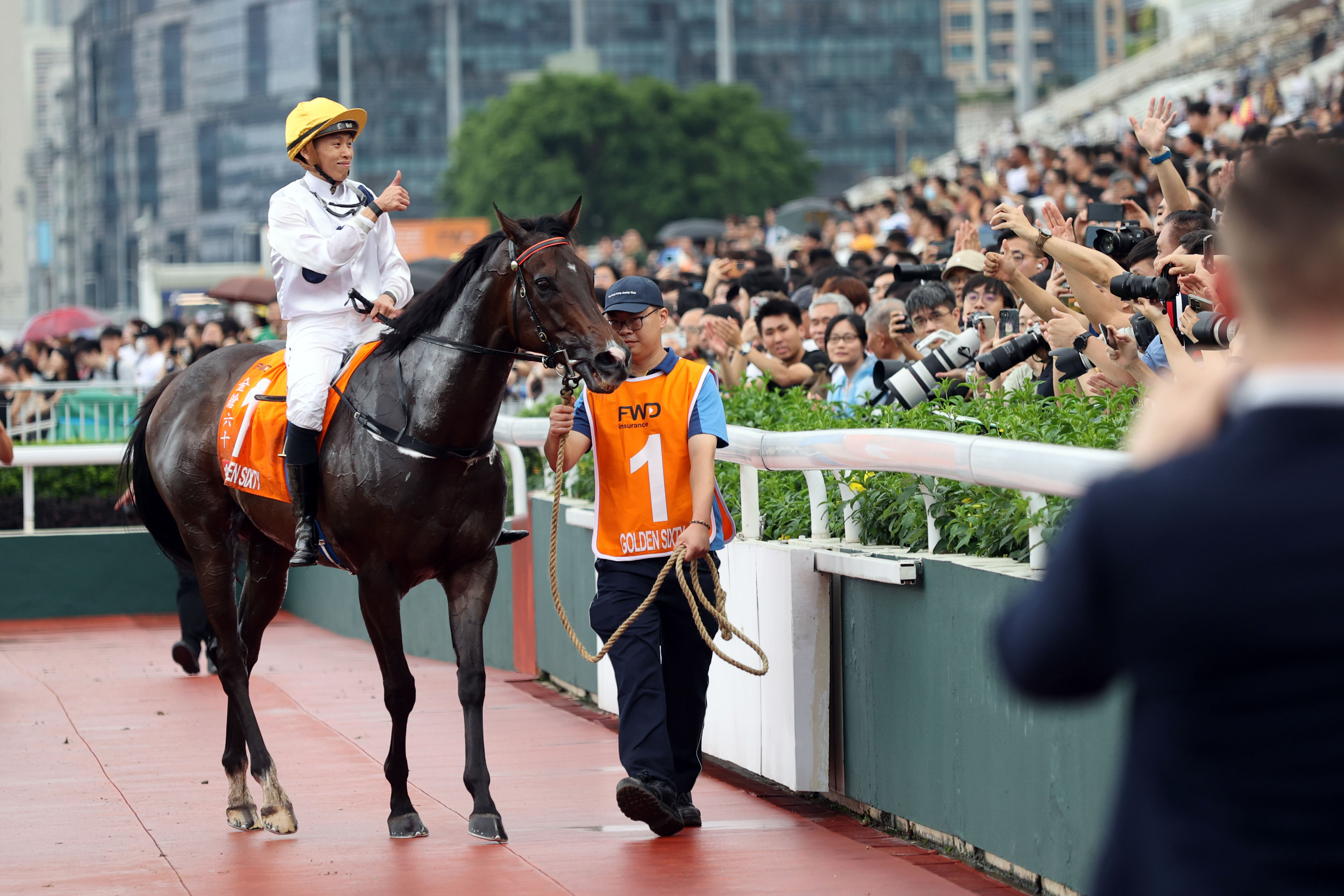 2024年香港买马资料,策略规划_发布版57.572