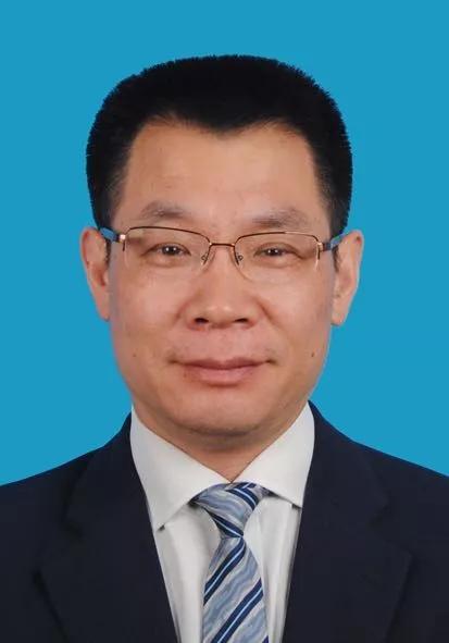 2024新奥免费资料,实际调研解析_影视版61.560