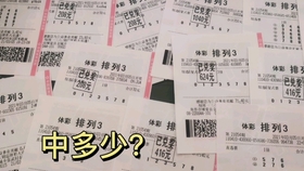 2024澳门天天开好彩大全凤凰天机,專家解析意見_车载版29.591