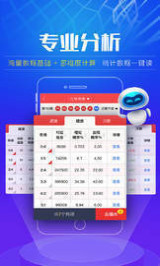 2024年天天开好彩资料,精细化实施分析_活力版16.868
