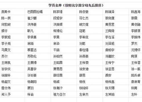 一码一肖100%的资料,目前现象解析描述_跨界版82.986