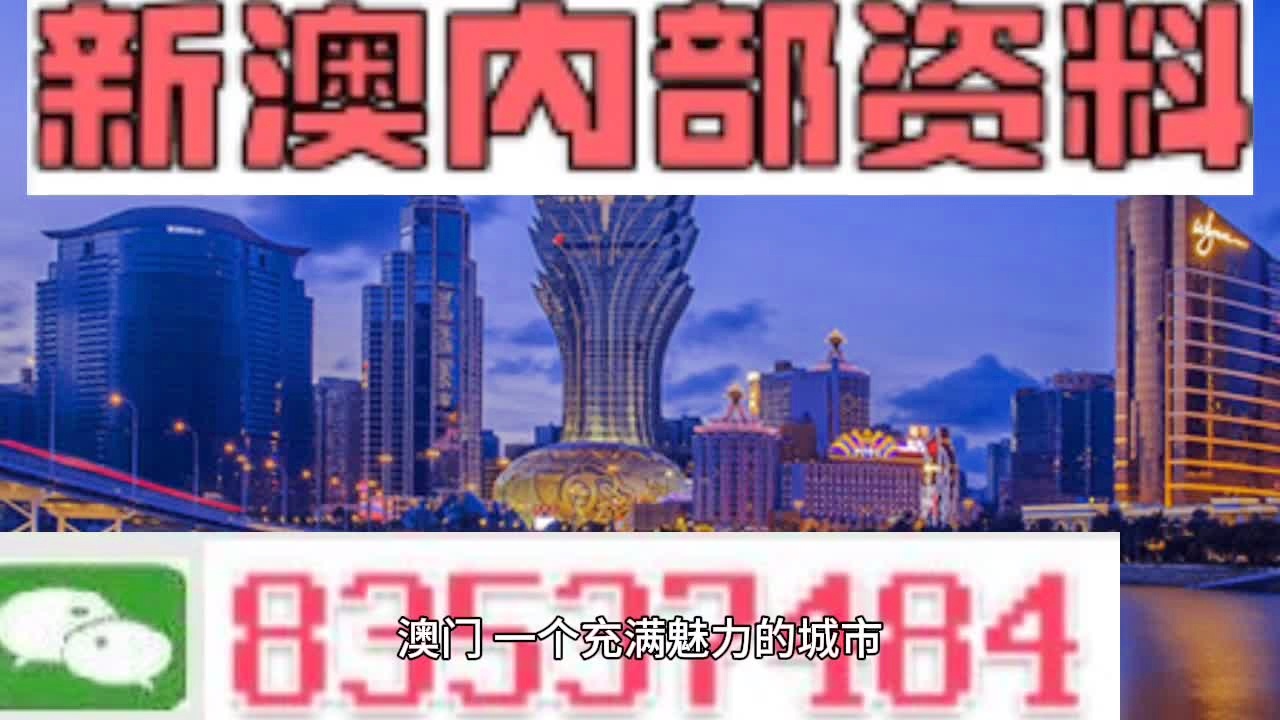 新澳门今天最新免费资料,实践调查说明_生态版97.956