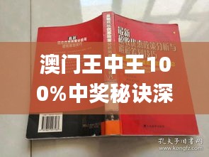 新澳门王中王100%期期中,灵活性执行方案_互助版85.627