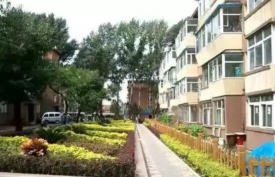 石家庄外地车限行规定最新，城市变迁中的行车策略与成长足迹