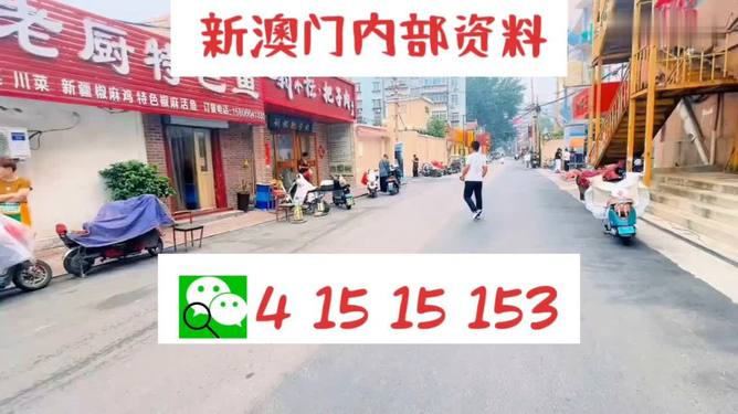 2024澳门天天开好彩资料？,快速处理计划_敏捷版91.675