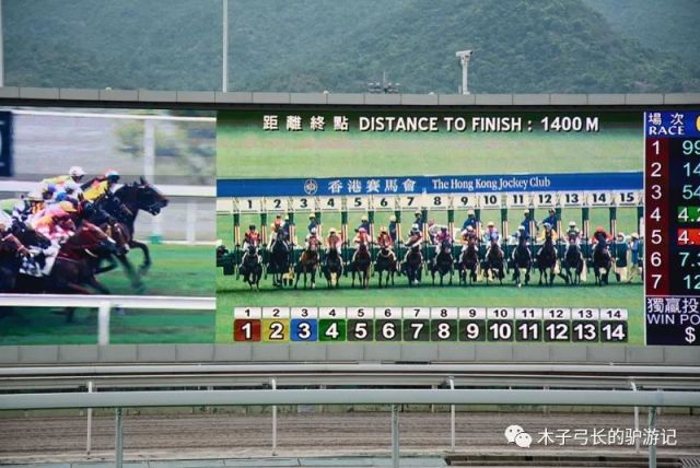 2024香港赛马全年免费资料,深入挖掘解释说明_轻量版16.482