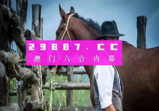 新澳门一肖一码中恃,市场需求解析_影像版56.472