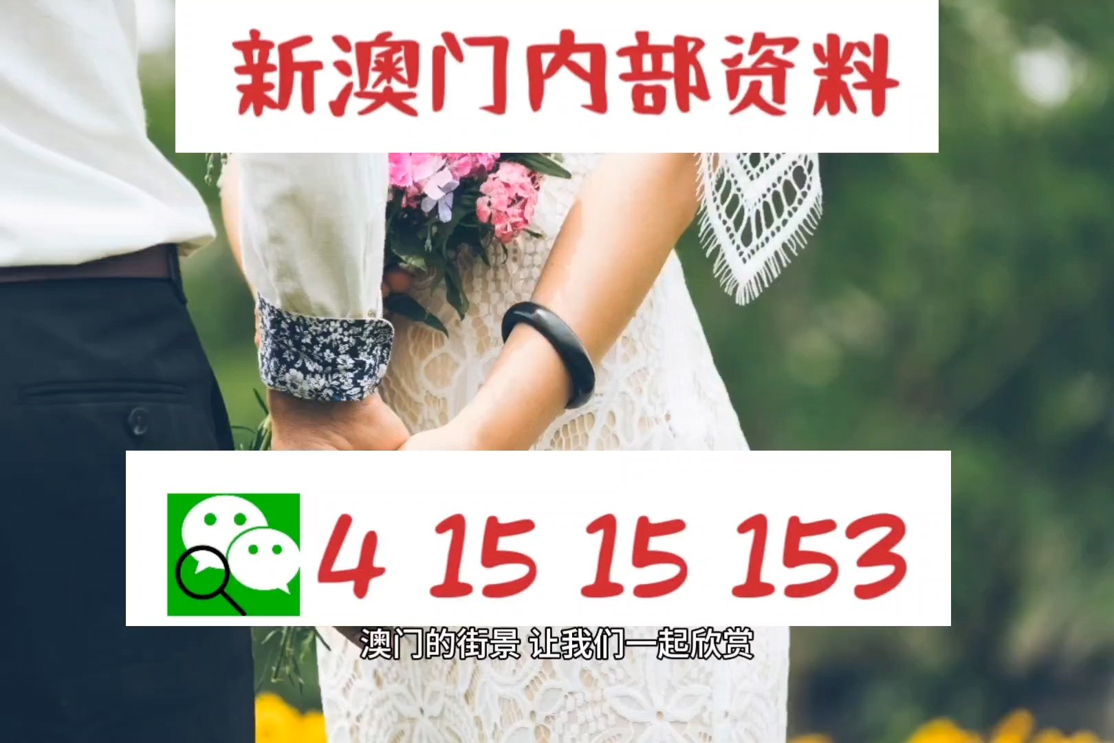 新澳门今晚精准一肖,策略规划_动态版88.896