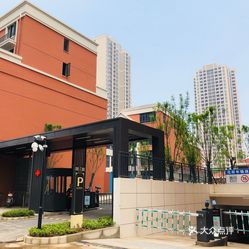 白沙洲花园最新动态,花开盛放,美景抢鲜看!