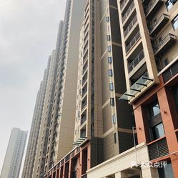 白沙洲花园最新动态,花开盛放,美景抢鲜看!