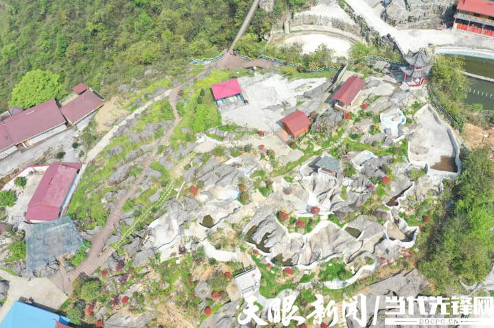 绥阳蒲场新篇章，巷弄风情与发展动态