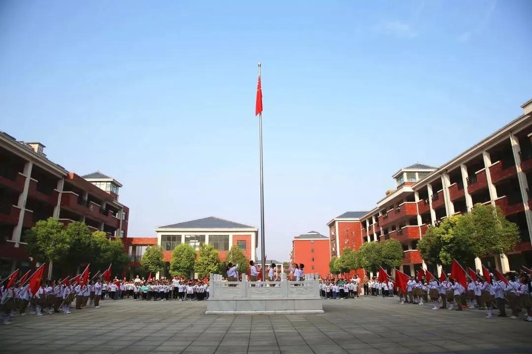 许昌市东城区最新规划详解，从入门到进阶的指南