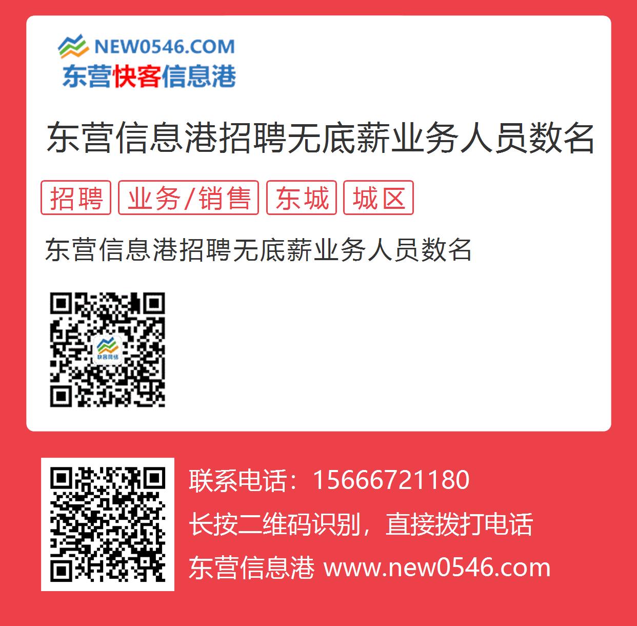 东明信息港最新招聘信息概览与观点论述