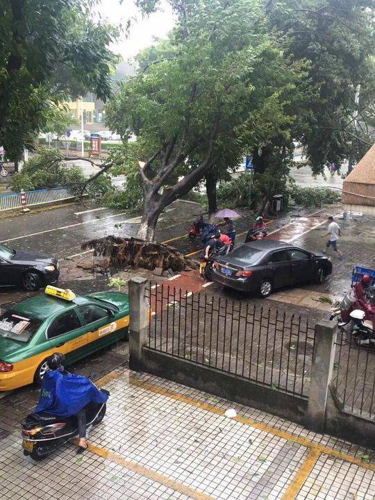 天鸽台风最新消息,珠海风暴之眼下的城市印记