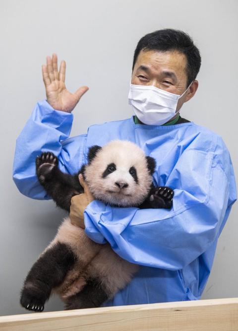 爱宝和福宝最新视频，萌态尽显，欢乐满载的时光