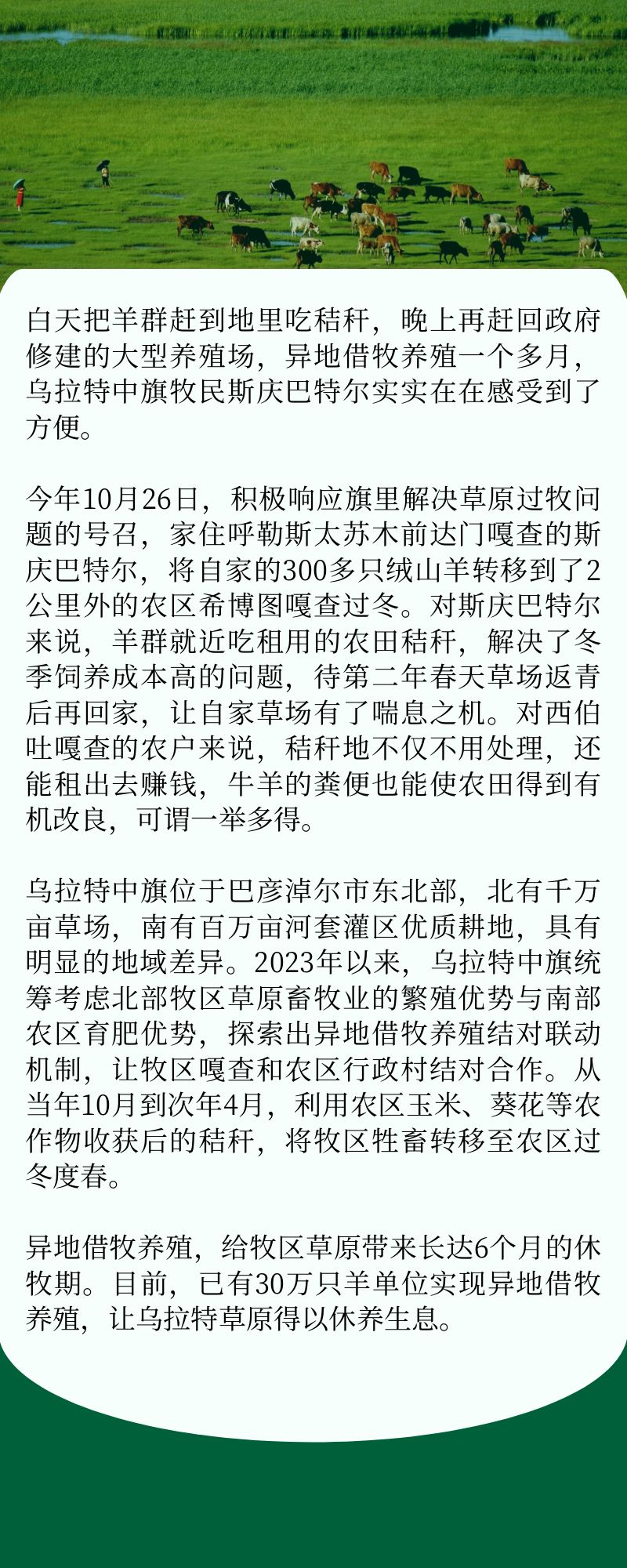 全面禁牧最新动态,生态与经济博弈的新进展