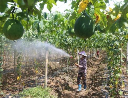 安徽铜陵暴雨实时更新,最新暴雨动态报告