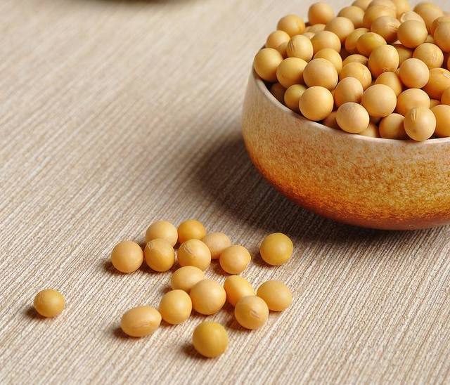 国产大豆最新收购价及指南