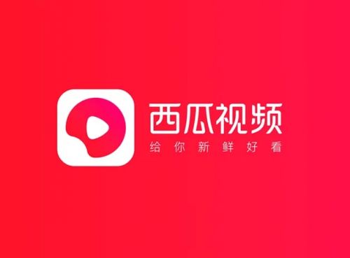 2024最新版西瓜视频app使用指南与介绍