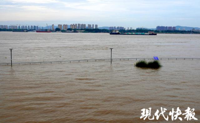 南京长江洪峰最新动态,防汛抗洪形势分析与应对策略揭秘