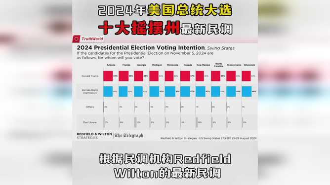 美国总统大选最新票数实时更新,揭晓未来领导者的角逐之路!