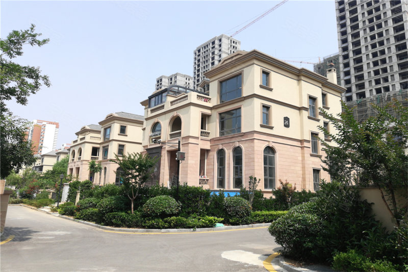 邹城鲁香山最新动态,变化中的力量与学习魅力的展现