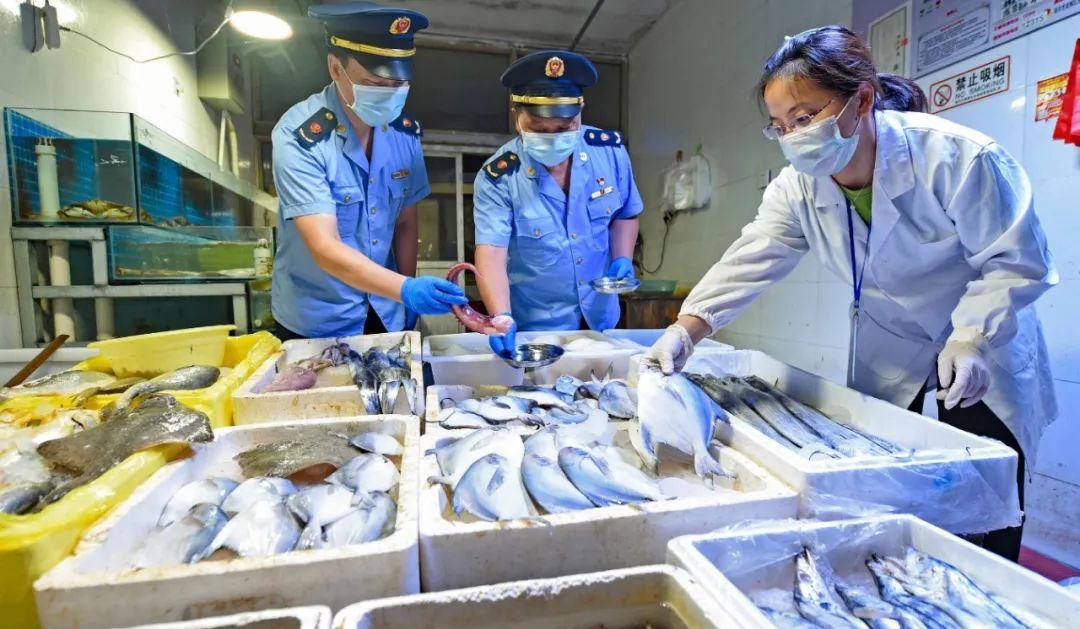 全球新冠病毒最新动态更新,全球范围的最新信息🌍