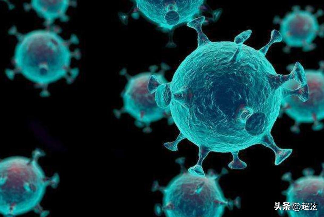 全球新冠病毒最新动态更新,全球范围的最新信息🌍