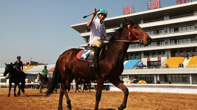 牟平手工活加工最新信息汇总✨