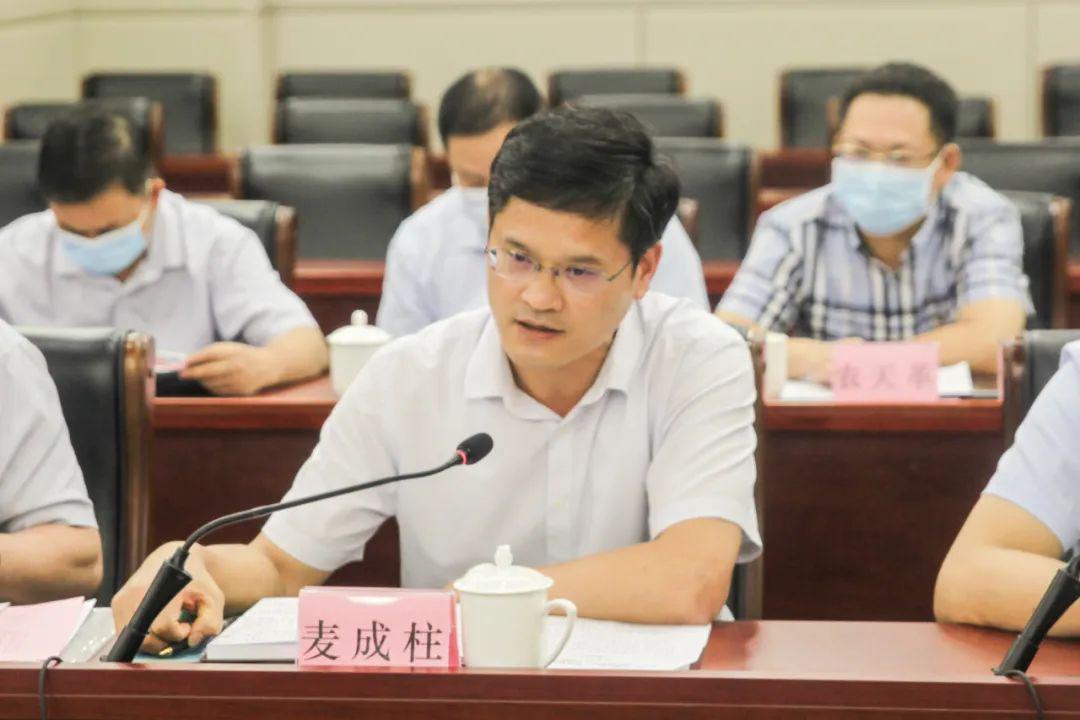 麦庆培最新动态，科技领导者前沿动向探索